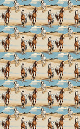Appaloosa Run