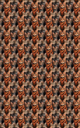 The Tabby Cat Parade