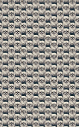 Pekingese Puffs & Patterns