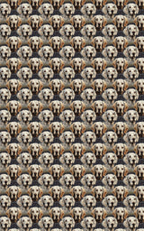 English Setter: Spotted Companions