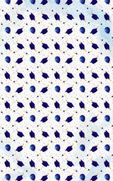 Graduation in Blue