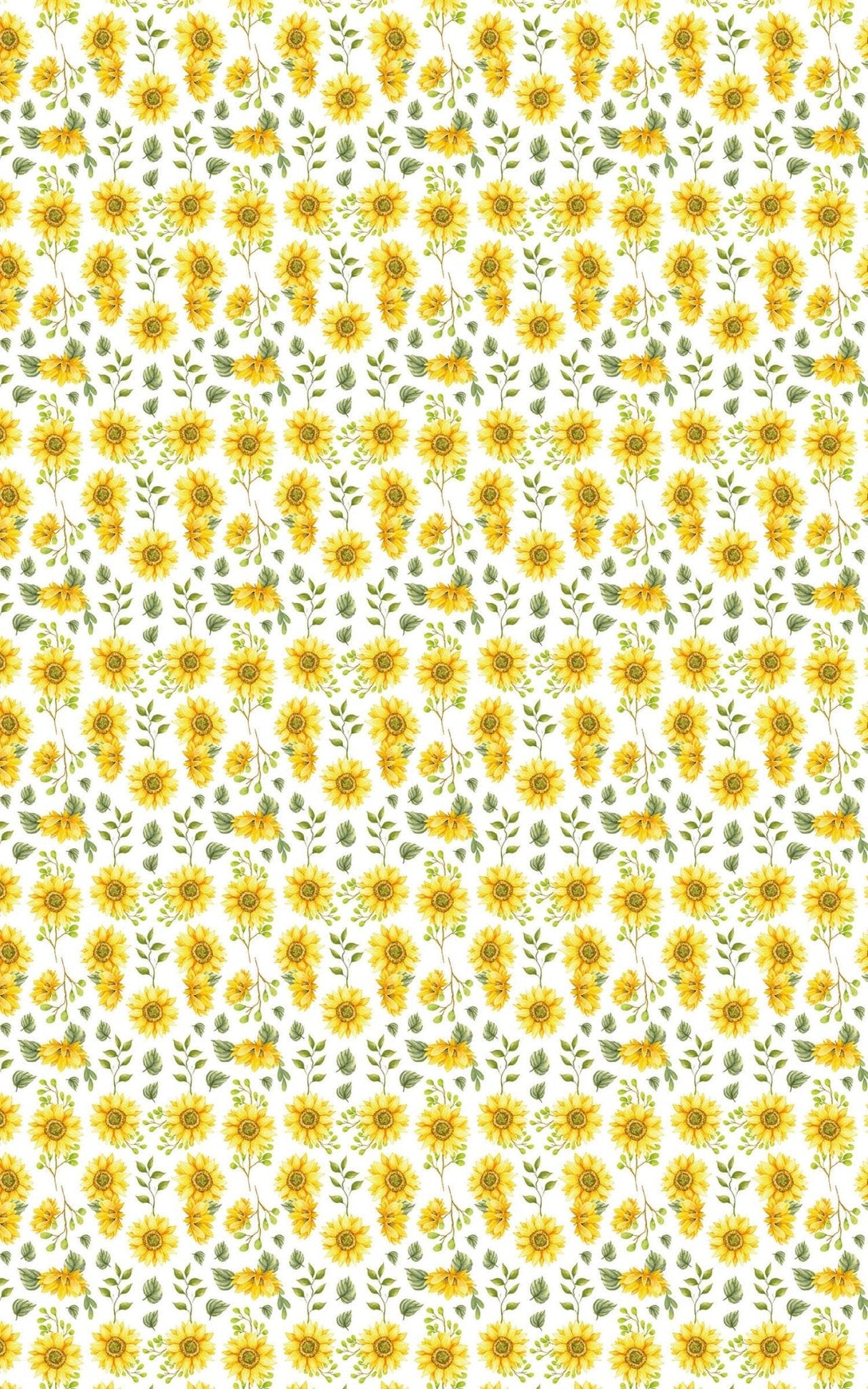 Sunflower White