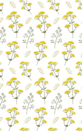 Yellow Spring Flowers