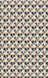 Bubbly Dalmatian Delight