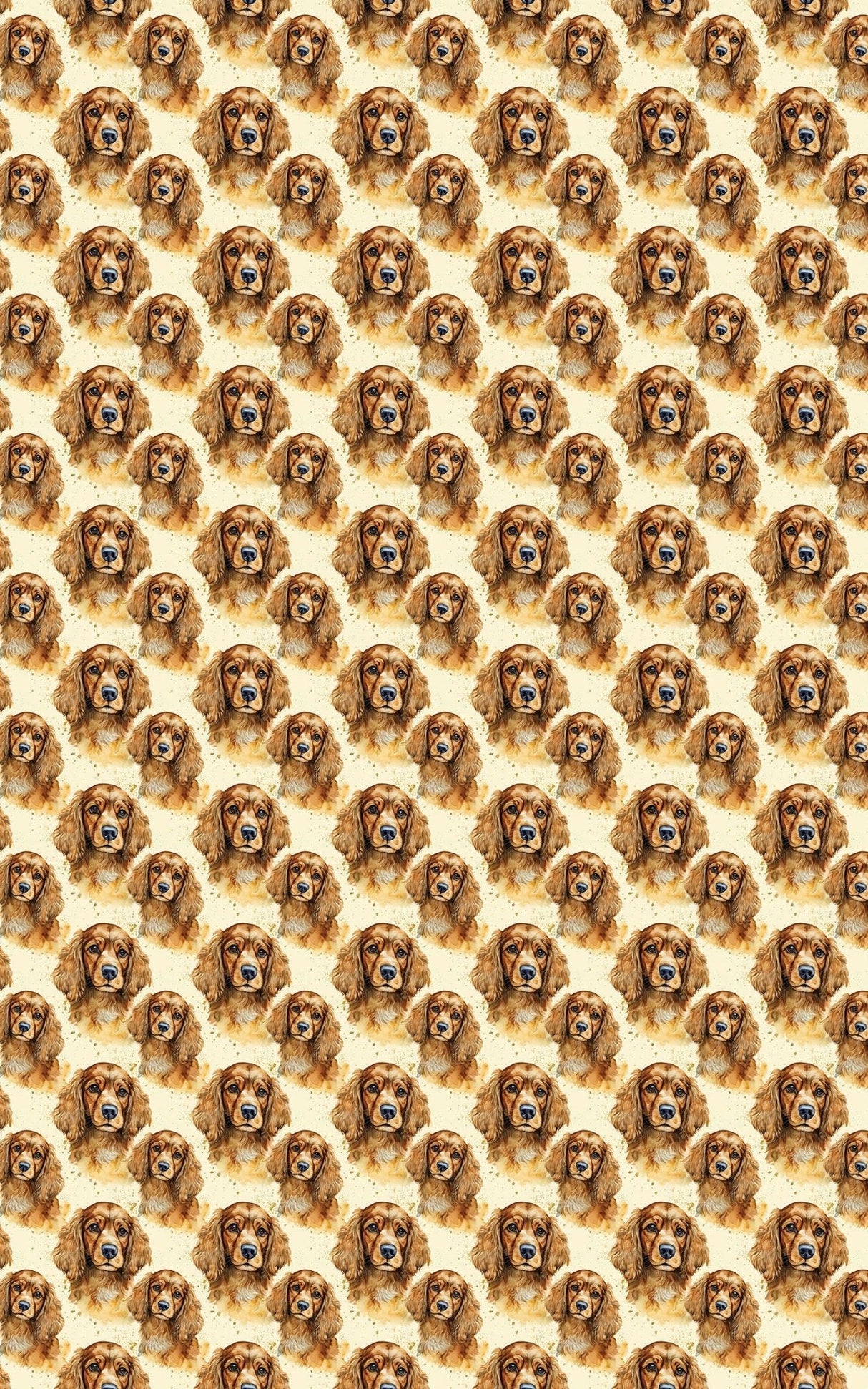 The Gentle Spaniel