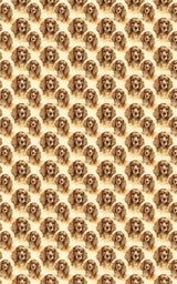 The Gentle Spaniel
