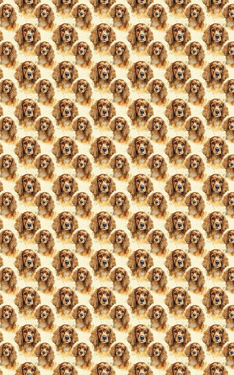 The Gentle Spaniel