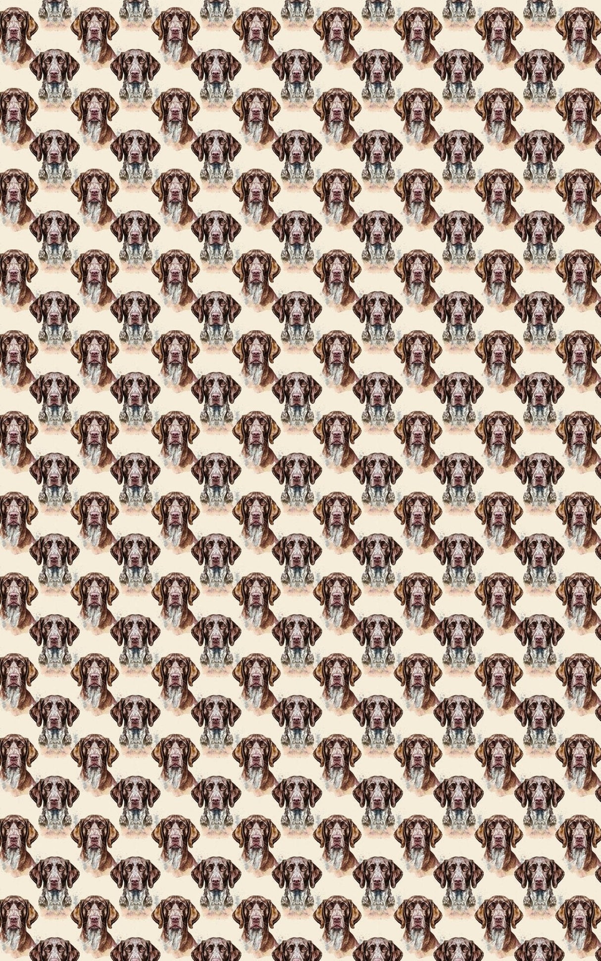 The Stylish Pointer