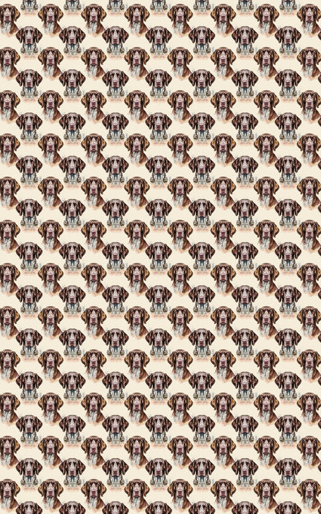 The Stylish Pointer
