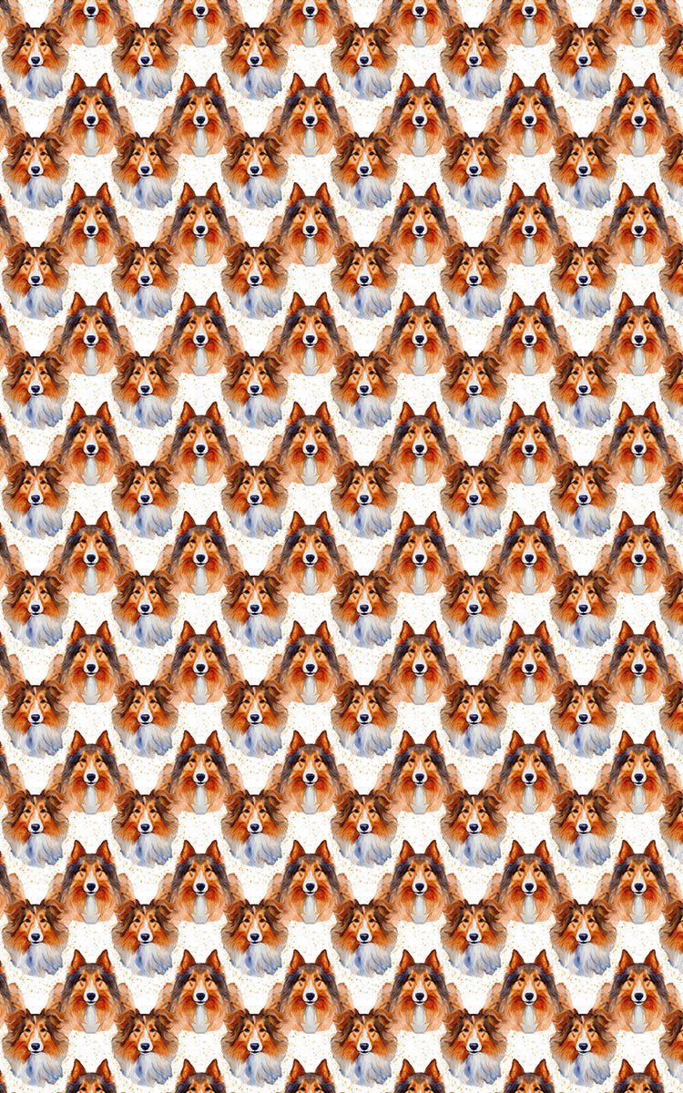 Collie Grace