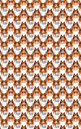 Collie Grace