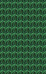 Emerald Canopy