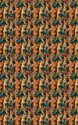 Tabby Cat Chasing