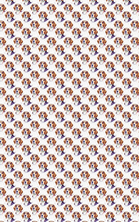 Beagle Bounce