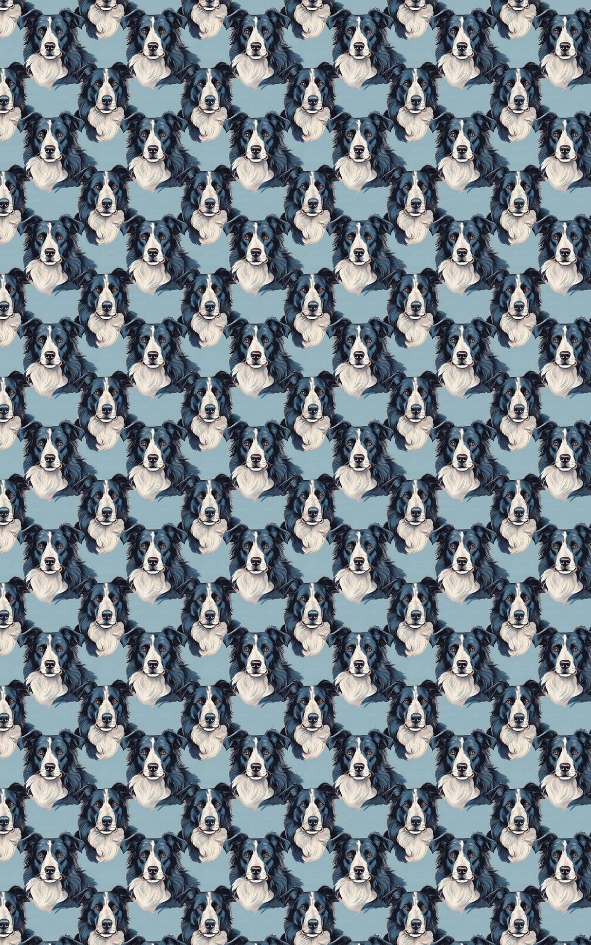 The Border Collie Look