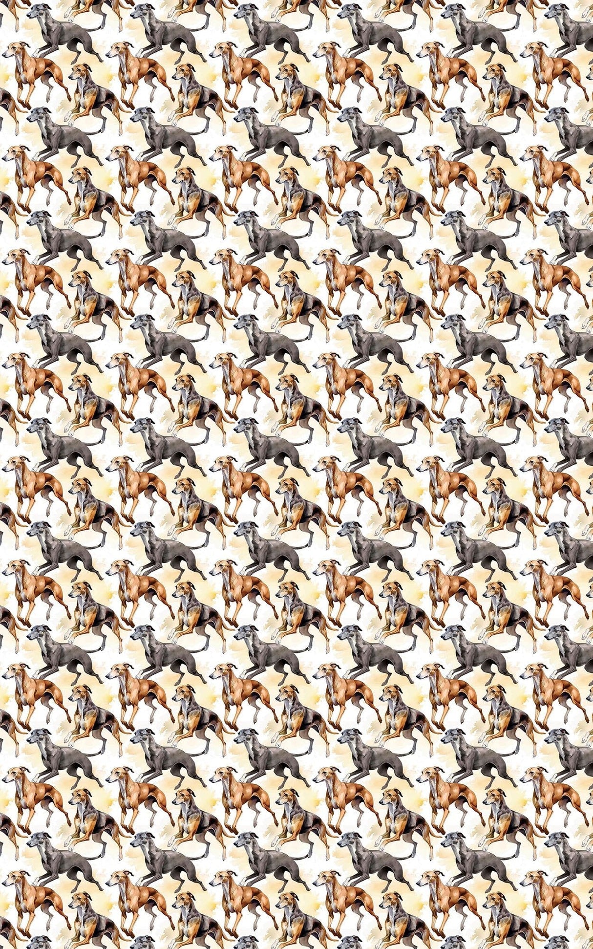 Speed & Grace – Greyhound