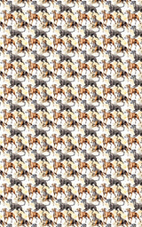 Speed & Grace – Greyhound