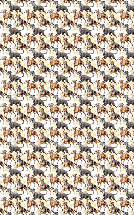 Speed & Grace – Greyhound