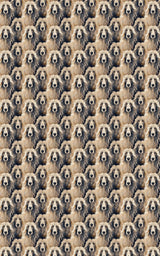 Afghan Hound Serenity
