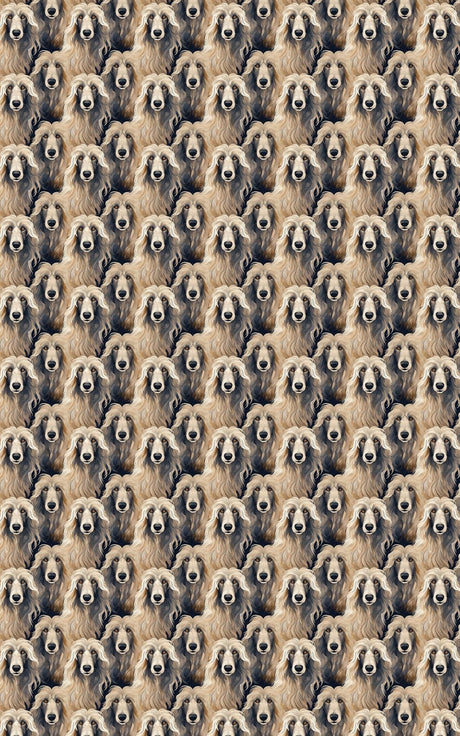 Afghan Hound Serenity