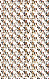 Bull Terrier Charm