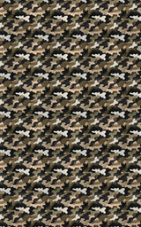 Stealth & Style
