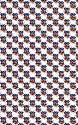 Rottie Wrapped