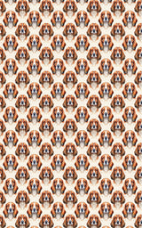 Low & Loyal Basset