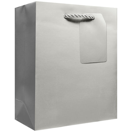 Matte Metallic Silver - Gift Bag w/Tag — primary image