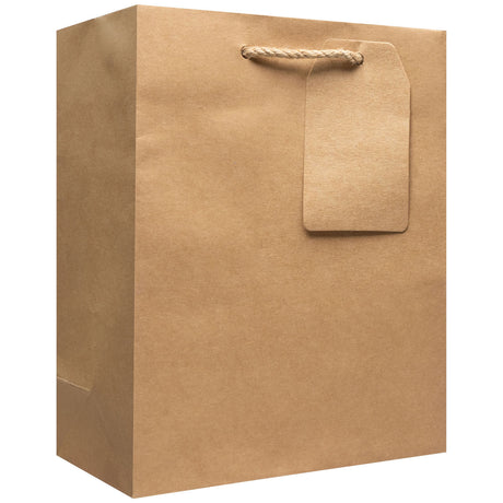Kraft Natural - Gift Bag w/Tag — primary image
