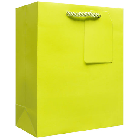Matte Lime - Gift Bag w/Tag — primary image