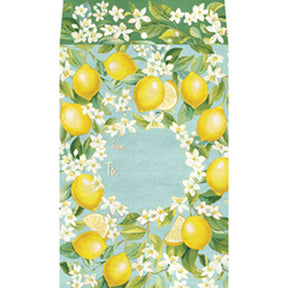 Lemon Tree Theme Mailing Envelope - SY467.jpg