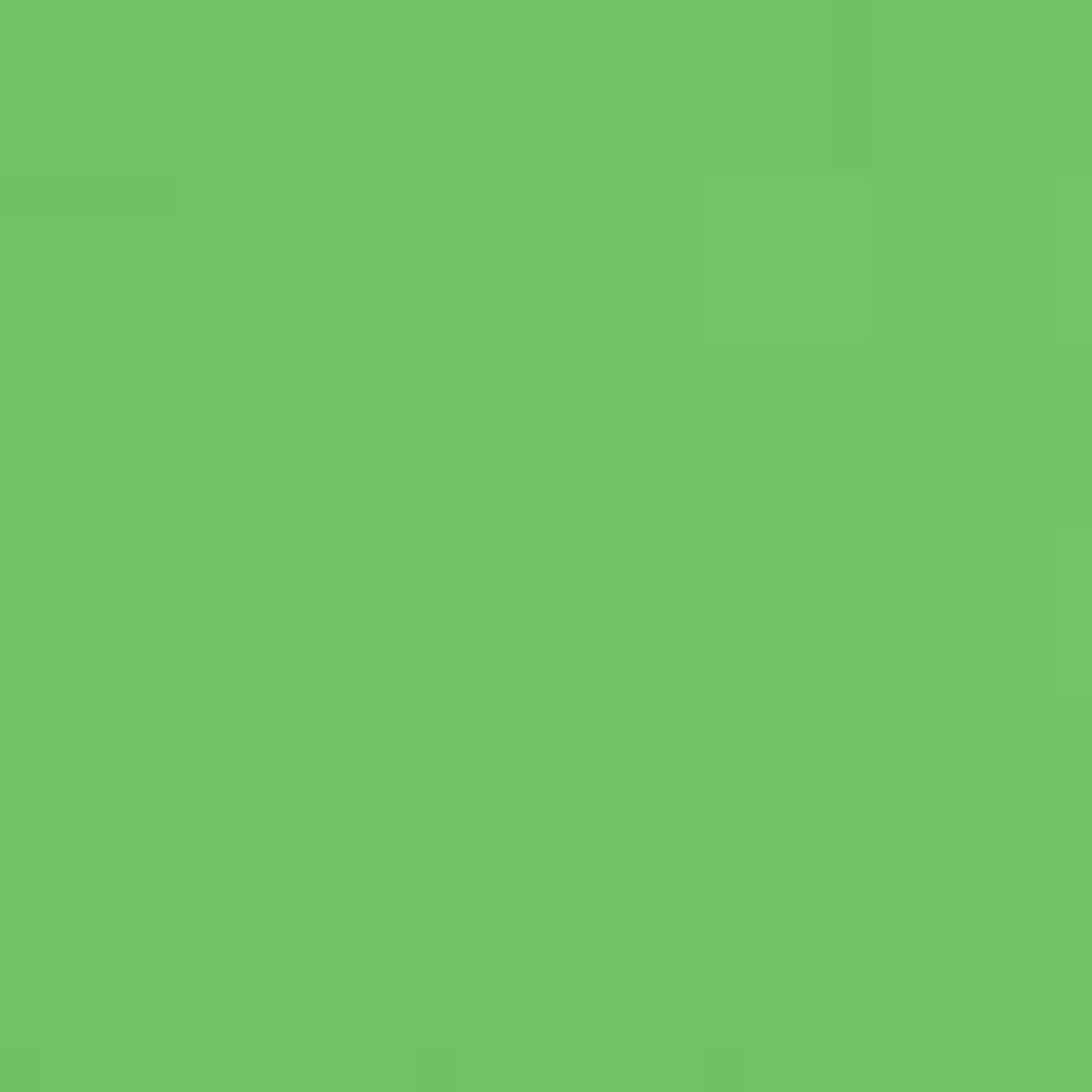 Apple Green PMS 361C Screen Print