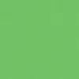 Apple Green PMS 361C Screen Print