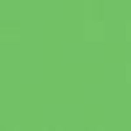Apple Green PMS 361C Screen Print