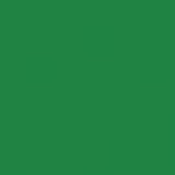 Bright Green PMS 334C Screen Print