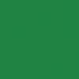 Bright Green PMS 334C Screen Print