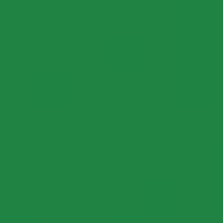 Bright Green PMS 334C Screen Print