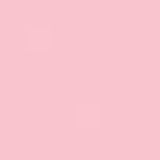 Dark Pink PMS 1895C Screen Print