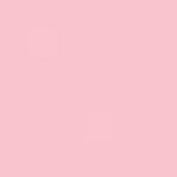 Dark Pink PMS 1895C Screen Print