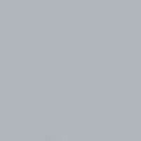 Light Gray PMS 429C Screen Print