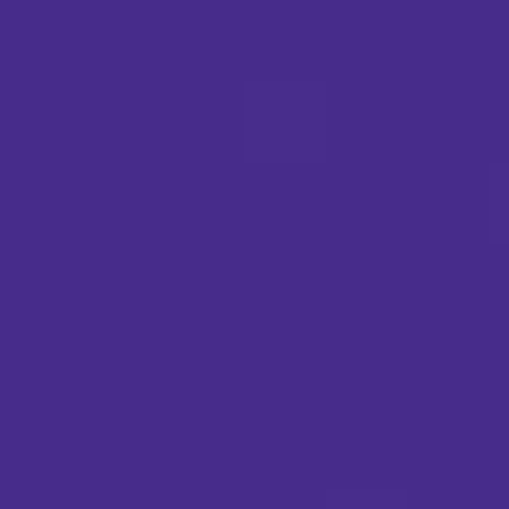 Purple PMS 2735C Screen Print