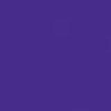 Purple PMS 2735C Screen Print