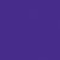 Purple PMS 2735C Screen Print
