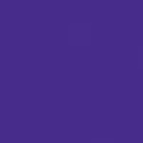 Purple PMS 2735C Screen Print