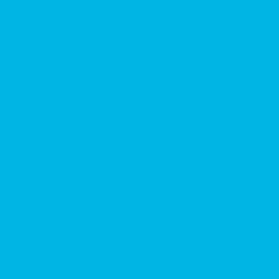 Vibrant Blue PMS 801 Screen Print