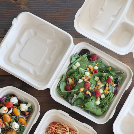 World Centric Fiber Clamshell Takeout Container, Bamboo Plant Fiber, 9 x 9 x 3 in (QTY 300), SKU TO-SC-U9-LFP