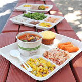 World Centric 18 oz Fiber Tray 5-Compartment Compostable Cafeteria Tray (QTY 400), SKU TR-SC-5C-LFS