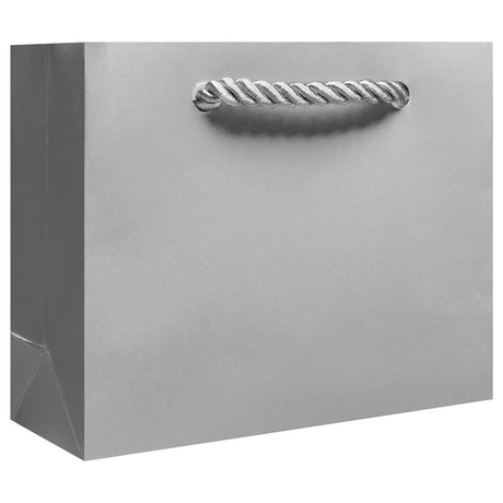 Matte Metallic Silver - Gift Bag w/Tag — primary image