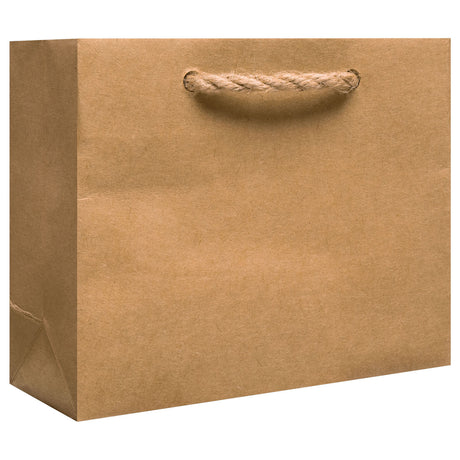 Kraft Natural - Gift Bag w/Tag — primary image